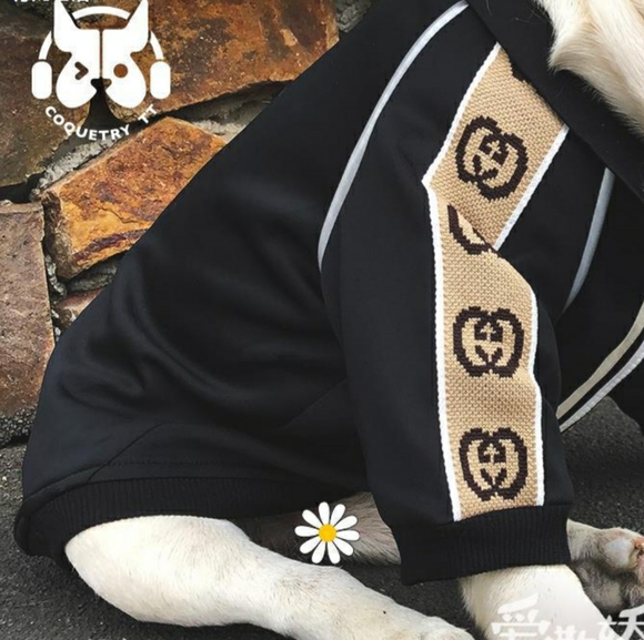 🎉HP🎉Doggy track jacket - Picture 3 of 3